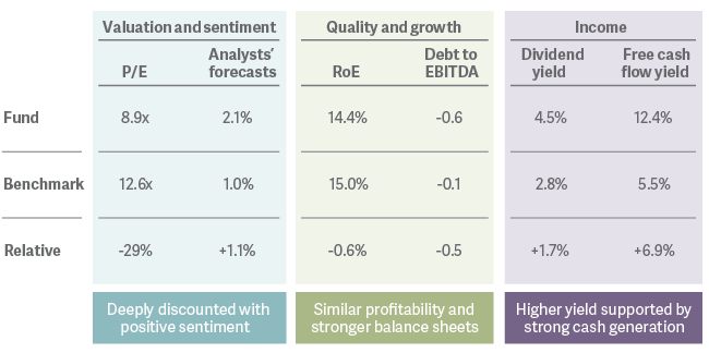 tables showing If the fund were a stock key financial charateristics